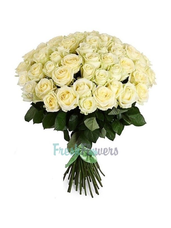 51 біла троянда